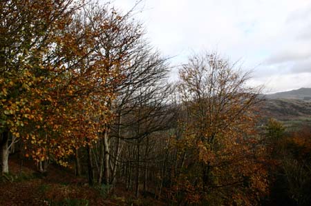 LakeDistrictNov2004003
