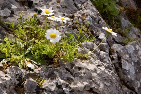 Lindos-April2009-105