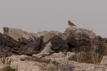 Lindos-April2009-129