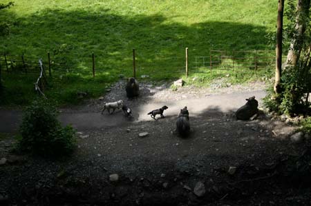 LakeDistrict2004040