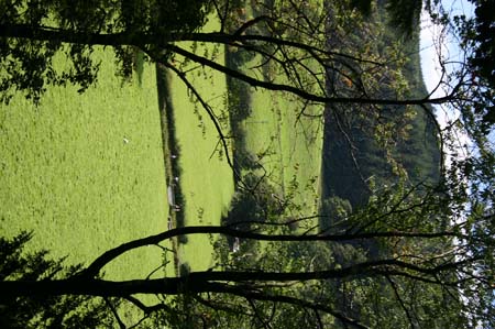 LakeDistrict2004041