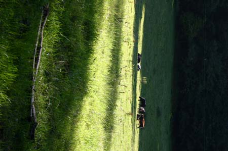 LakeDistrict2004067