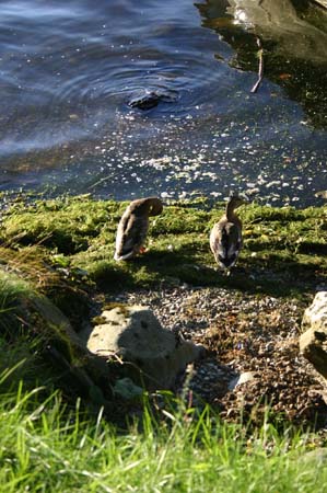 LakeDistrict2004075