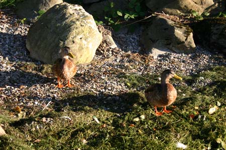 LakeDistrict2004080