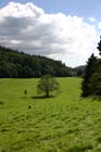 LakeDistrict2004026