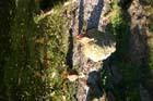 LakeDistrict2004079