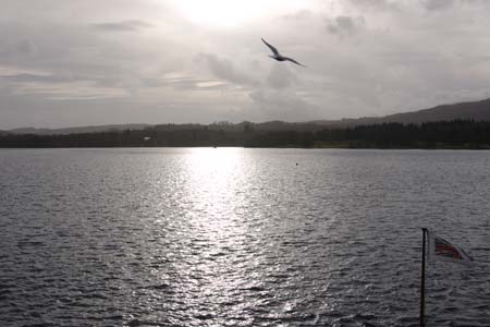 CRW_5985