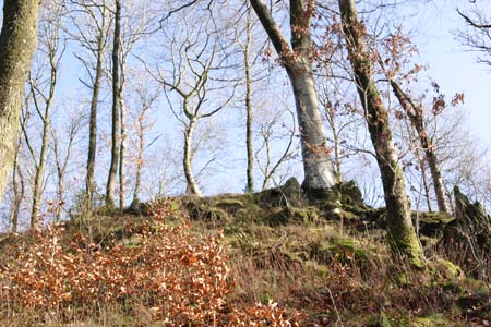 CRW_5998