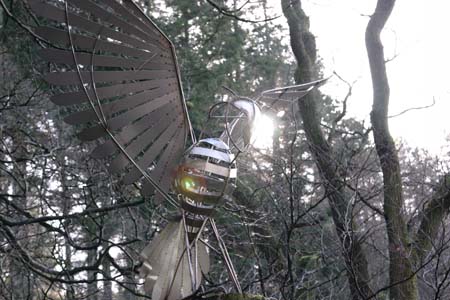 CRW_6003