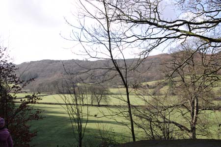 CRW_6004