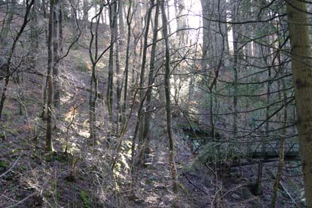 CRW_6006