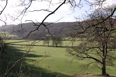 CRW_6013