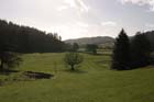 CRW_6037