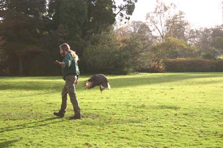 LakeDistrictNov2004016