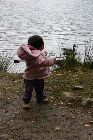 LakeDistrictNov2004093