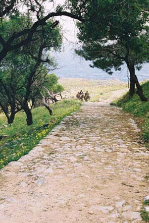 Lindos2002-F3-32