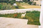 Lindos2002-F1-30